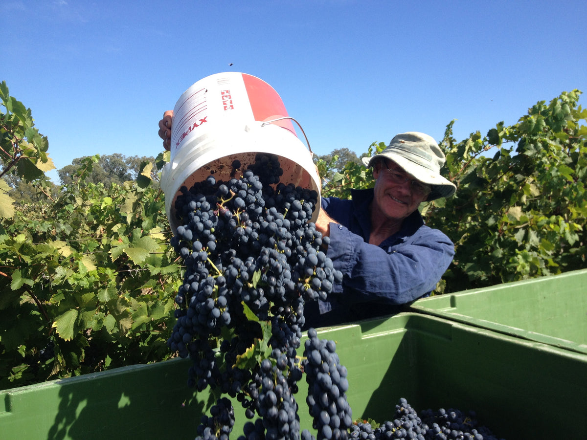 John Stokes Wood Park Wines Vineyard King Valley Milawa Gourmet Region Cellar Door North East Victoria